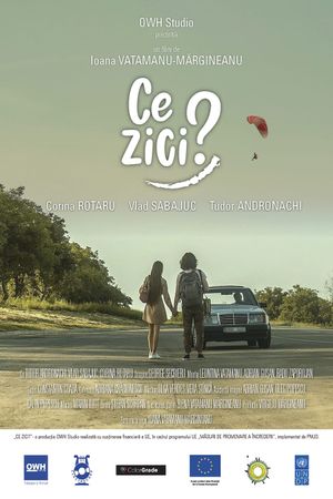 Ce Zici? (What Do You Think?)'s poster