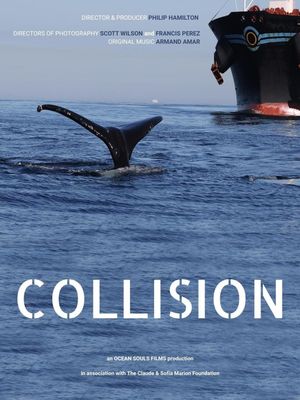 Collision's poster