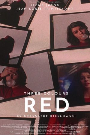 Three Colors: Red's poster