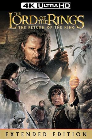 The Lord of the Rings: The Return of the King's poster