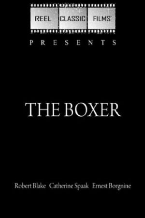 The Boxer's poster