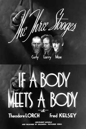 If a Body Meets a Body's poster image