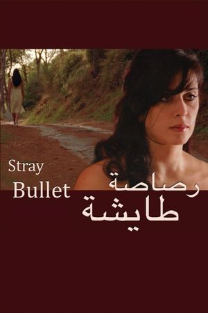 Stray Bullet's poster