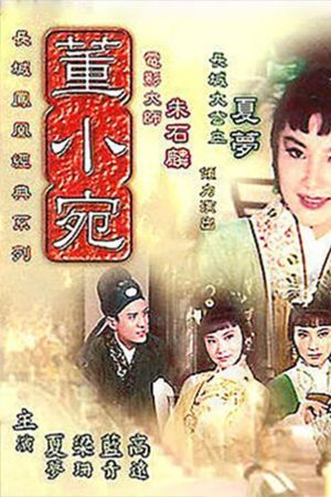 Dong Xiaowan's poster
