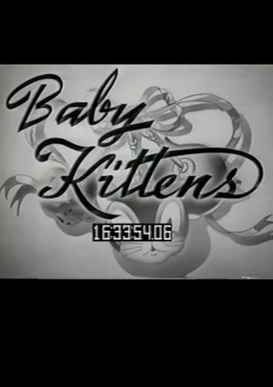Baby Kittens's poster