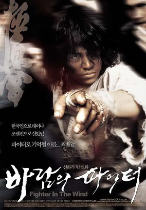 Fighter in the Wind's poster