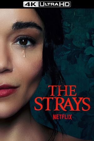The Strays's poster