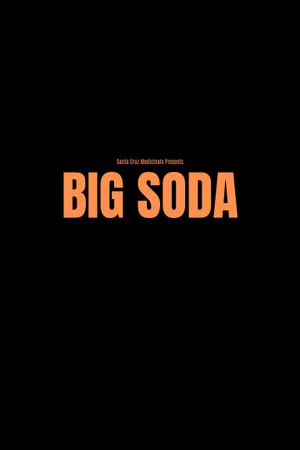 BIG SODA's poster