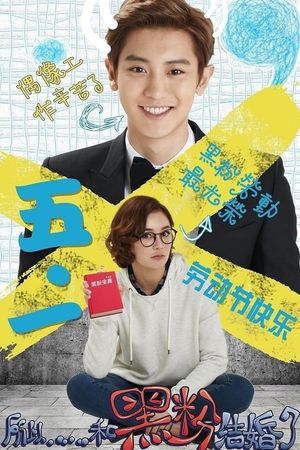 So I Married an Anti-Fan's poster