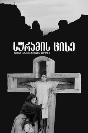 Suramis tsikhe's poster