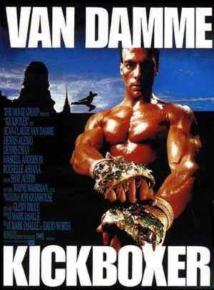 Kickboxer's poster