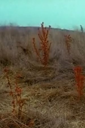 In a Disturbed Landscape's poster