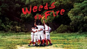 Weeds on Fire's poster