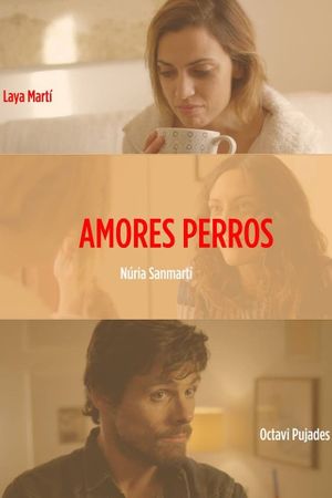 Amores perros's poster