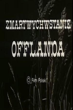 Zmartwychwstanie Offlanda's poster