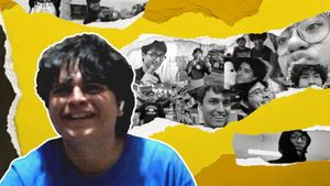 Es Para Un Videodiario's poster