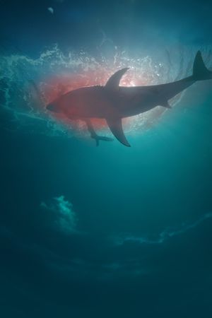 Deep Fear's poster