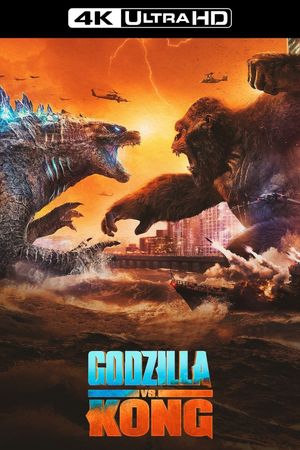 Godzilla vs. Kong's poster