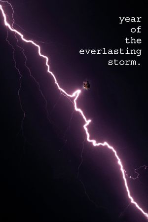The Year of the Everlasting Storm's poster