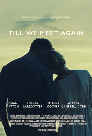 Till We Meet Again's poster