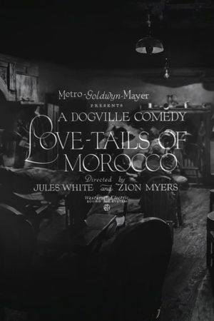 Love-Tails of Morocco's poster