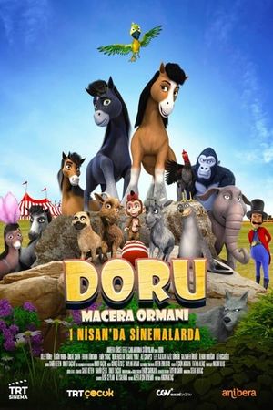 Doru: Macera Ormani's poster