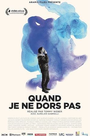 Sleepless Night in Paris's poster