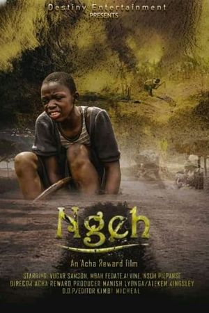 Ngeh's poster image