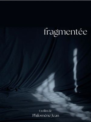 fragmentée's poster