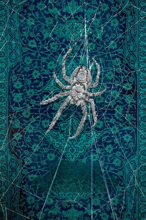 Holy Spider's poster