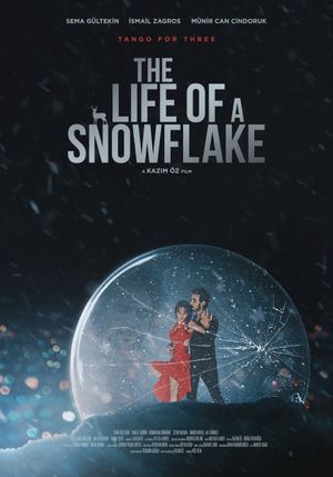 The Life of a Snowflake's poster