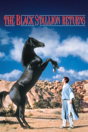 The Black Stallion Returns's poster image