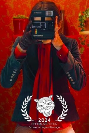 Diary of a Photobooth's poster