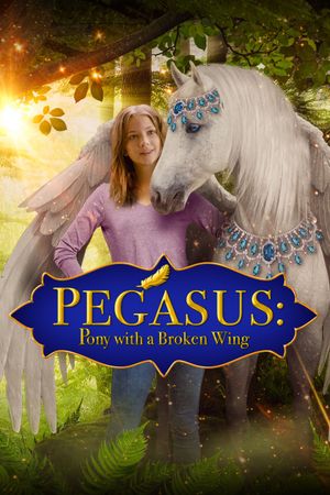 Pegasus: Pony with a Broken Wing's poster