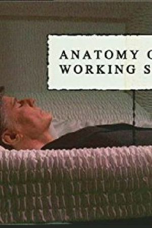 Anatomy of a Working Stiff's poster