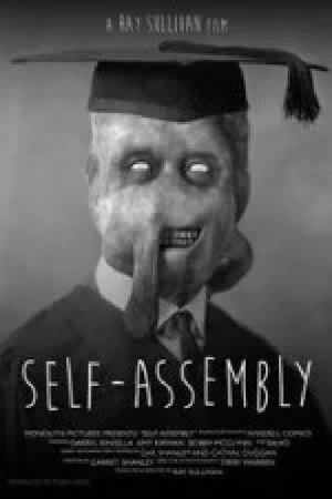 Self-Assembly's poster