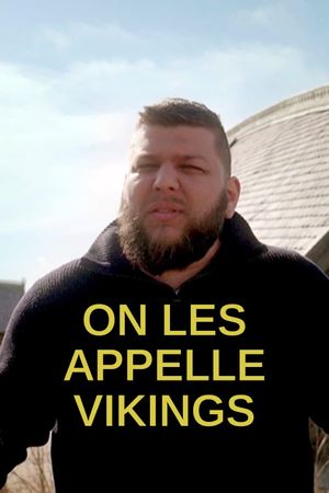 On les appelle vikings's poster