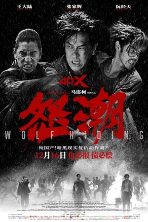 Wolf Hiding's poster