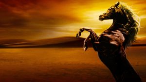 The Young Black Stallion's poster