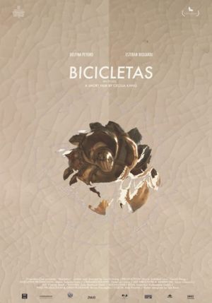 Bicycles's poster