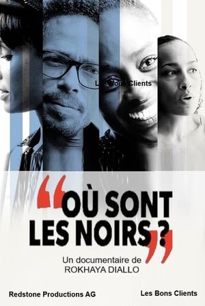 Où sont les noirs ?'s poster