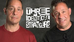 Three Identical Strangers's poster