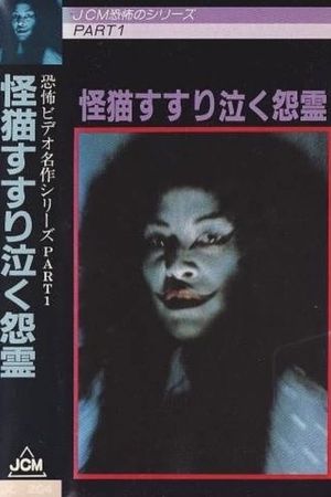 The Grudge and the Cat's poster
