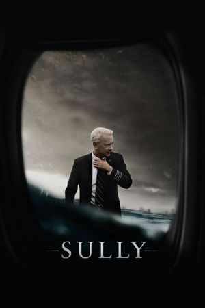 Sully's poster