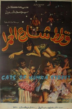 Cats of Hamra Street's poster image