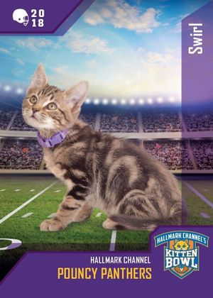 Kitten Bowl VIII Special's poster
