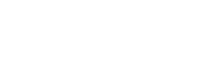 Asteroid City's poster