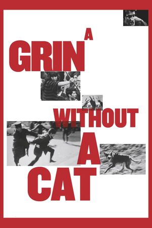 A Grin Without A Cat's poster