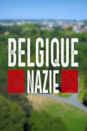 Belgique nazie's poster