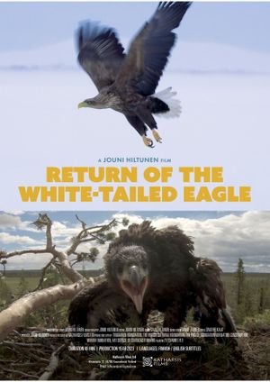 Return of the White-tailed Eagle's poster